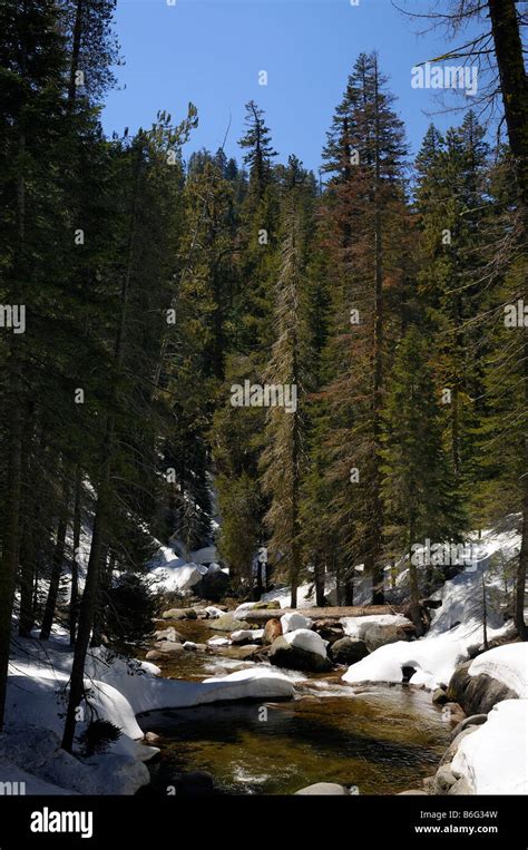 North Fork Kaweah River Im Sequoia National Park Stockfotografie Alamy