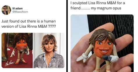 The Funniest Lisa Rinna Mandm Tweets Memebase Funny Memes