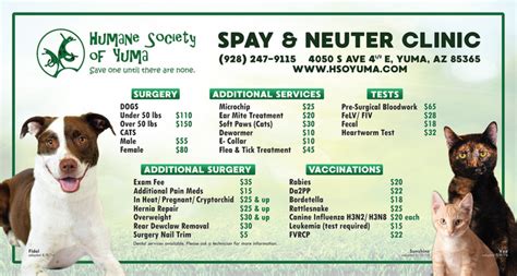 All feral cats will receive a permanent green. Free Cat Spay And Neuter Clinic Near Me - CatWalls