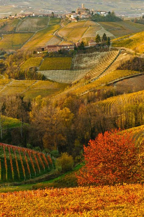 Autunno Nelle Langhe Piemonte Places Around The World Around The