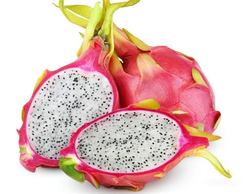Dragon fruit, hylocereus undatus is carbohydrate and calcium rich fruit which lowers cholesterol, boost immunity, prevent diabetes and support healthy heart. Growing Dragon Fruit | ThriftyFun