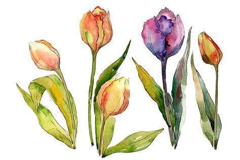 Bouquet of Flowers from Tulips Romance Watercolor Gráfico por MyStocks
