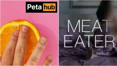 Peta Shares Cringe Sexual Videos To Promote Veganism Claims Meat