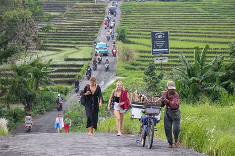 Top Things To Do In Canggu For The Best Bali Experience Jetsetting Fools