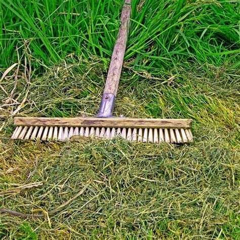 Das ist wohl die ursache für die geschichten, dasssich bettwanzen von oben auf das opfer fallen lassen, wenn dieses die beine seines betts in wasserschalen gestellt hat. Grasmilben bekämpfen: Tipp für Garten, Haus, Wohnung & Bett