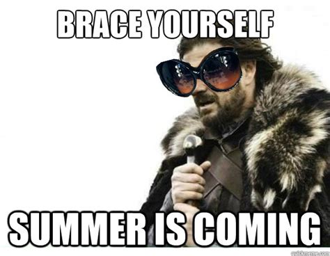 Brace Yourself Summer Is Coming Misc Quickmeme