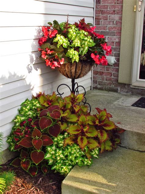 Click to see full answer 101 best images about "Perennials" ... Plants that come ...
