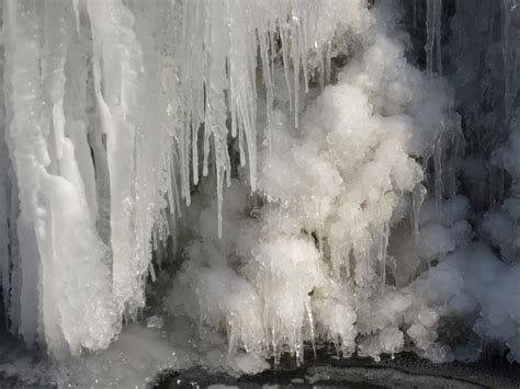 Fotos Gratis Agua Naturaleza Nieve Frío Escarcha Formación
