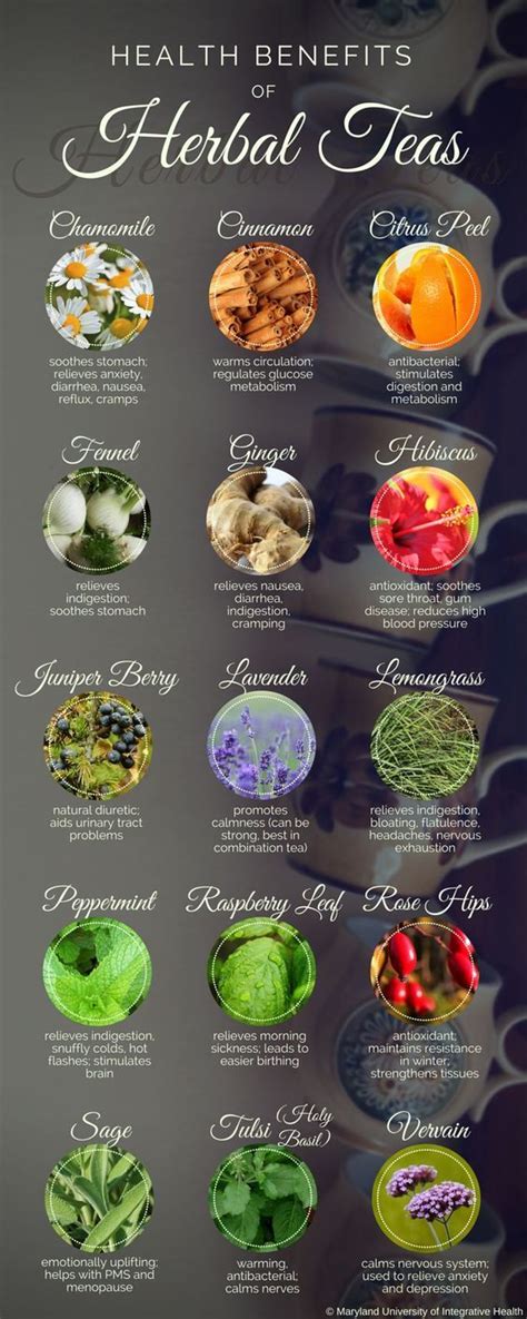 Medicinal Teas And Their Uses Charts And Recipes The Whoot