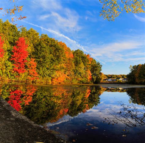 Fall Leaf Reflection In Pond On A Sunny Day In Autumn Stock Photo