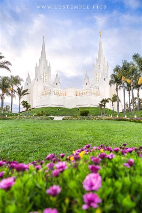 San Diego Temple Summer Flowers Lds Temple Pictures In 2022 Lds