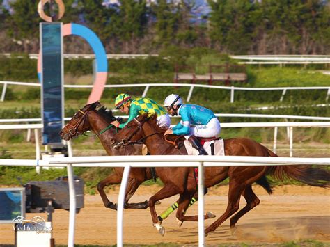 I Risultati Di Siracusa Galoppo Ippodromo Del Mediterraneo Corse Di Sabato Marzo L