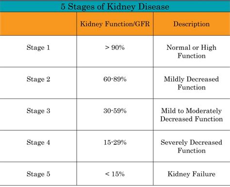 Understanding Kidney Disease Nephcure Kidney International ® Marjolein