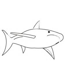 Download and print these cartoon shark pictures for kids coloring pages for free. Free Printable Shark Coloring Pages For Kids