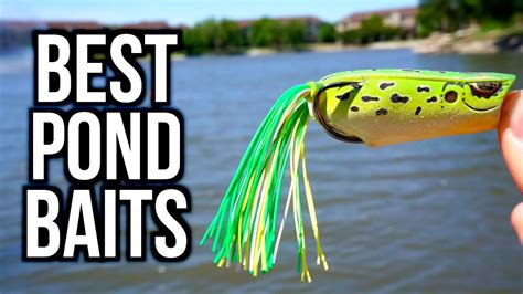 Top 5 Pond Bass Fishing Baits Bass Fishing Tips Youtube