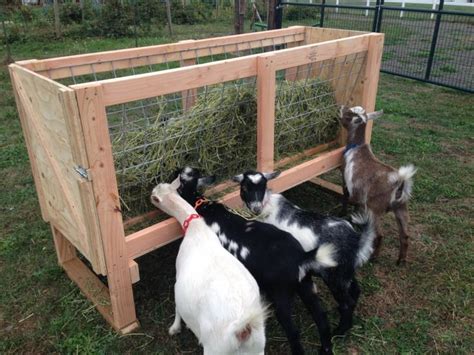 Goat Pen Ideas In 2020 Goat Feeder Goat Shelter Goat Pen