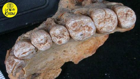 Archaeologists Have Discovered The Oldest Human Fossil Ever Found