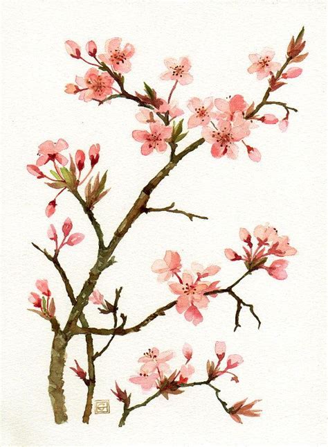 Pink Blossom Of Prunus Original Watercolor Painting Botanical Art