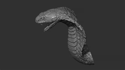 Artstation Snake Cobra Resources