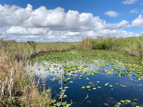 The Only Everglades National Park Guide Youll Need Rileys Roves