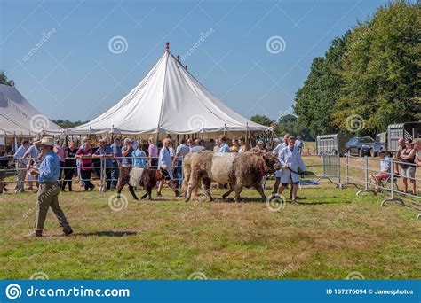 Agricultural Show Uk Editorial Stock Image Image Of Farming 157276094