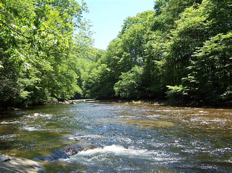 It was designated marquette national forest by president theodore roosevelt in 1909. My very favorite WV trout stream, the Cranberry River ...