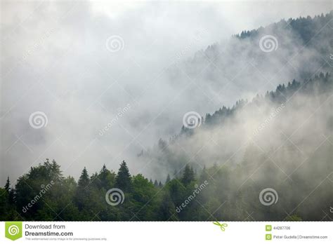 Foggy Forest Stock Photo Image Of Mountains Fantasy 44287706