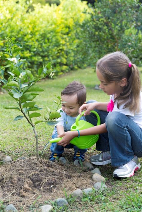 5 Healthy Hobbies for Preschool Children - Dublin OH ...