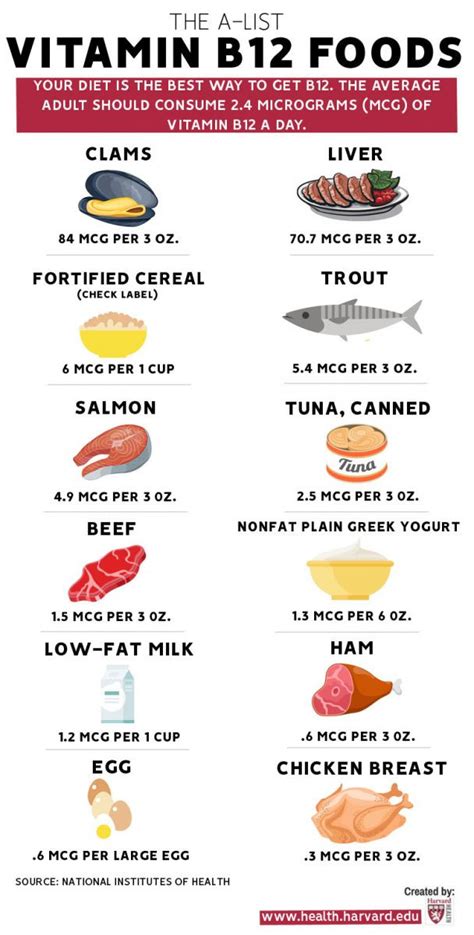 Vitamin E Rich Foods Chart