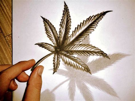 Weed Leaf Drawing At Free For Personal Use Weed Leaf