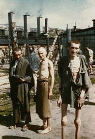 ‹ › cheering survivors greet american troops as they enter the mauthausen concentration camp a day after the actual liberation. Mauthausen Concentration Camp (Austria)
