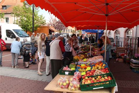 Große Kreisstadt Erding: Grüner Markt
