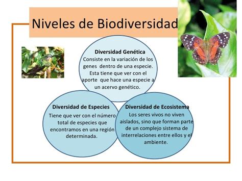 La Biodiversidad Y Niveles