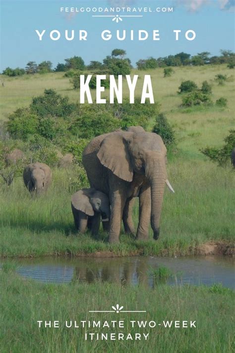 Things To Do In Kenya An Amazing Two Week Adventure