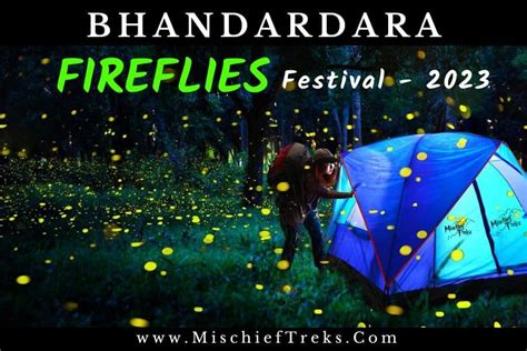 Bhandardara Fireflies Festival 2023 Nomads Of India