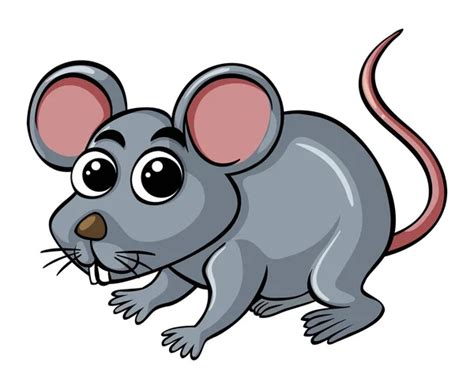 Cartoon Rat Stock Vector Image By ©sararoom 29310771