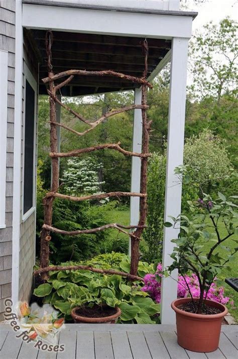 20 Easy Diy Trellis Projects To Really Prop Up Your Garden How To