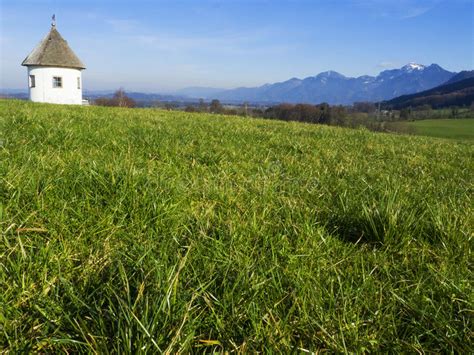 Idyllic Landscape In The Alps With Fresh Green Meadows And Blooming