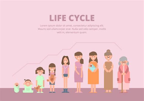 Life Cycle Illustration 151866 Vector Art At Vecteezy
