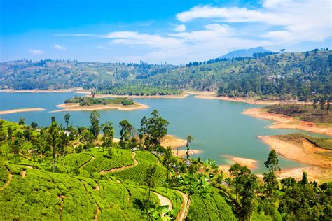 Sri is headquartered near pittsburgh in seven fields, pennsylvania, with regional offices in portland, or; Sri Lanka Tipps für eure aufregende Rundreise | Urlaubsguru