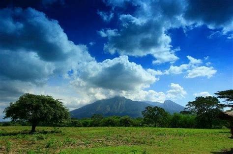 Baluran National Park Situbondo All You Need To Know Before You Go
