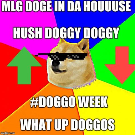 Advice Doge Meme Imgflip