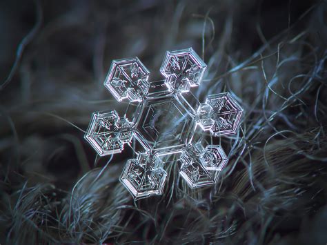 Inkxlensessnowflake Macro Photography By Alexey Kljatov Tumblr Pics