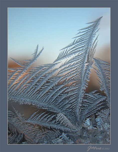 Frost Macro Photography By Judy Arndt