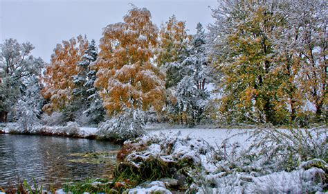 Hd Nature Landscapes Trees Forests Autumn Fall Seasons Winter Snow