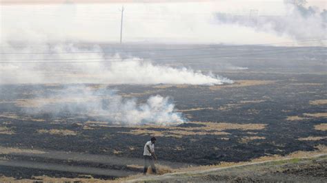 Day After Sc Rap Punjab Records Over K Farm Fires Fatehabad Air