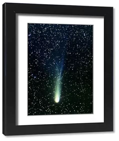 Print Of Optical Photograph Of Halleys Comet Halleys Comet Framed