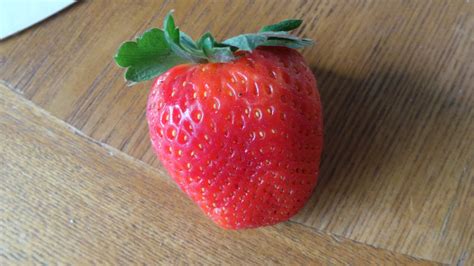 Strawberry Free Stock Photo - Public Domain Pictures