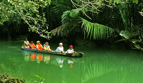 Sebagai tempat resapan air raksasa, hutan lindung membantu pengelolaan air tanah. Wisata Taman Nasional Ujung Kulon | Bantenesiadotnet