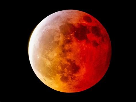 Wolf Moon Lunar Eclipse 2019 Moon Dazzles In Striking Photo Dramatic
